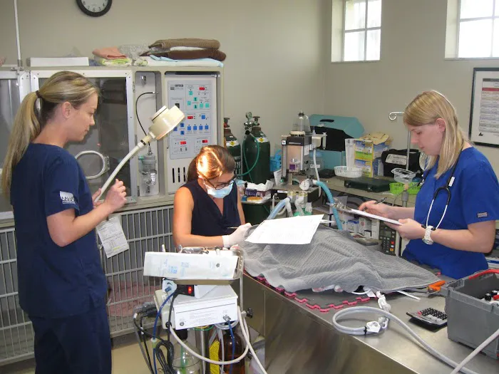 Pinellas Point Veterinary Care Picture 3