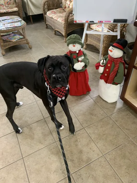 Pinellas Point Veterinary Care Picture 10