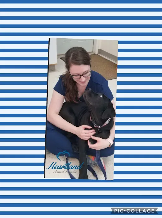 Heartland Animal Hospital Picture 5
