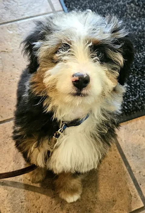 Heartland Animal Hospital Picture 9