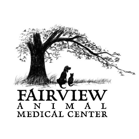 Fairview Animal Medical Center Picture 1