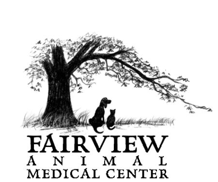 Fairview Animal Medical Center