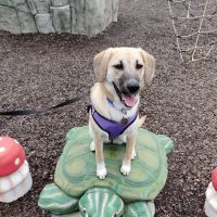 Owatonna Veterinary Hospital ico