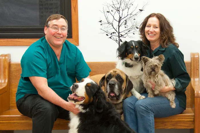 Owatonna Veterinary Services formerly / now Owatonna Veterinary Hospital Picture 1