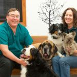 Owatonna Veterinary Services formerly / now Owatonna Veterinary Hospital