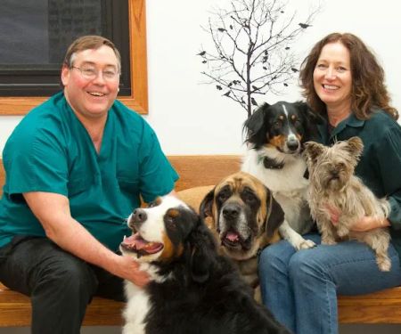 Owatonna Veterinary Services formerly / now Owatonna Veterinary Hospital