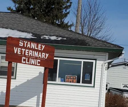 Stanley Veterinary Services