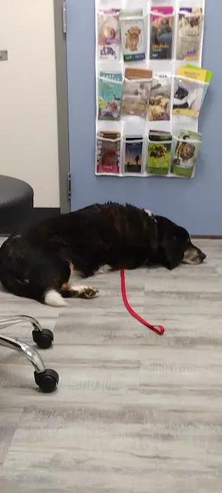 Dr Abby’s Veterinary Clinic Picture 4