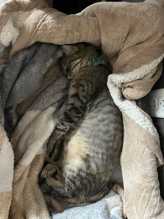 Ark Animal Hospital Picture 8
