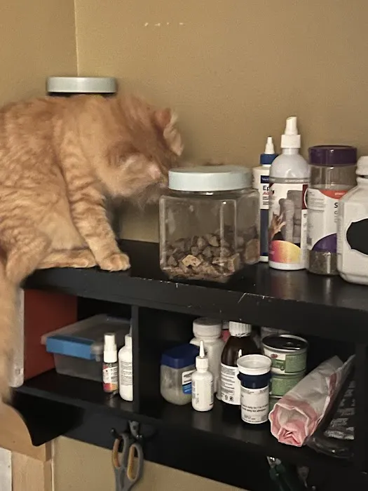 Ark Animal Hospital Picture 7