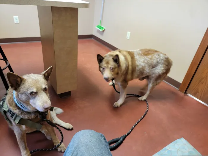 Animal Wellness Center of Buffalo Valley Picture 2