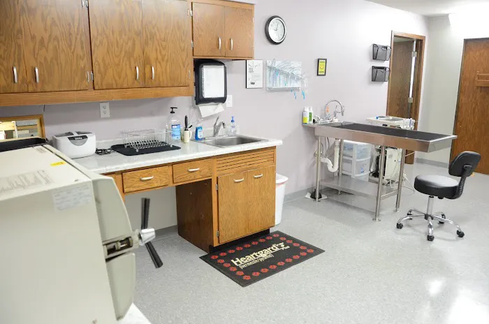 All Paws Animal Hospital Picture 2