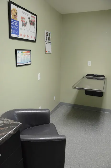 All Paws Animal Hospital Picture 5