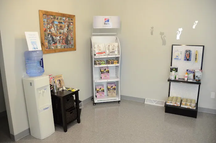 All Paws Animal Hospital Picture 6