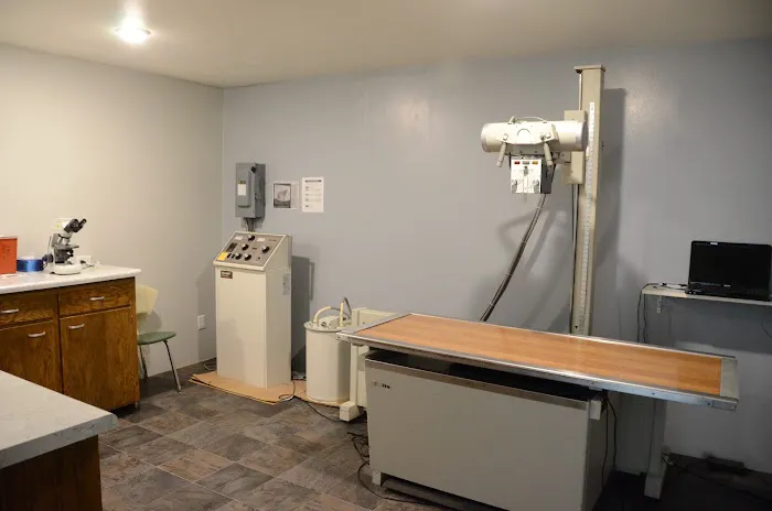 All Paws Animal Hospital Picture 8
