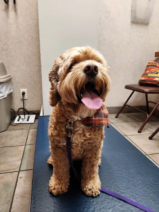 Oakwood Hills Animal Hospital Picture 2