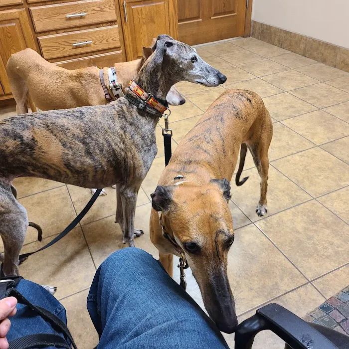 Eau Claire Animal Hospital Picture 2
