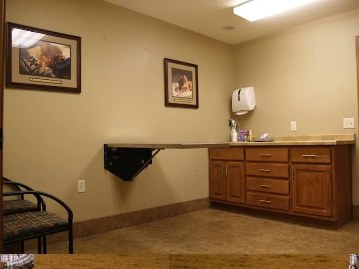 Eau Claire Animal Hospital Picture 6