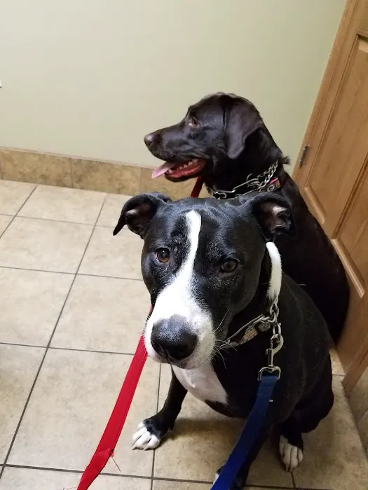 Eau Claire Animal Hospital Picture 5