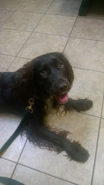 Eau Claire Animal Hospital Picture 10