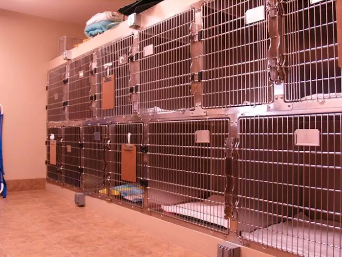 Eau Claire Animal Hospital Picture 8