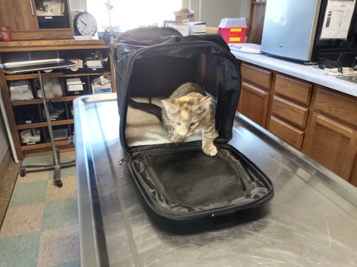 Wabasha Veterinary Clinic Picture 2
