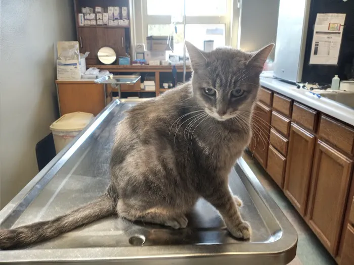 Wabasha Veterinary Clinic Picture 3