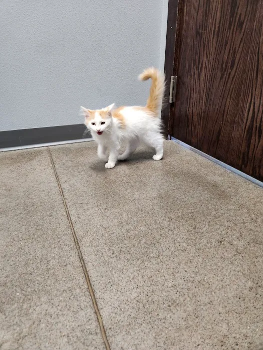 Healthy Pet Altoona Picture 7
