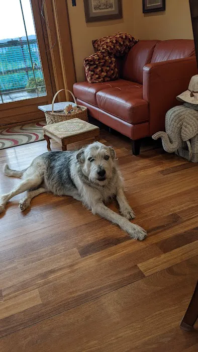 Healthy Pet Altoona Picture 8