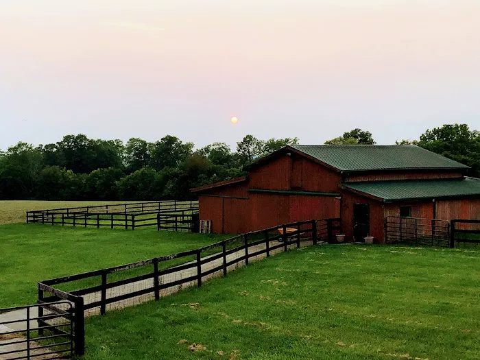 Trail Ridge Veterinary Services, LLC Picture 2