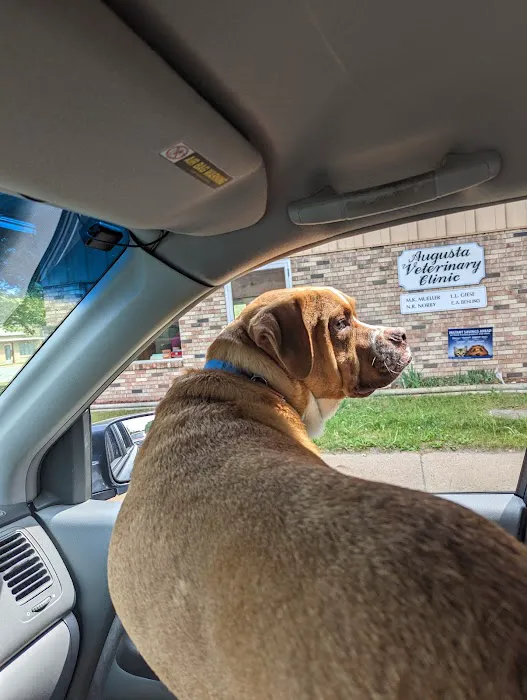 Augusta Veterinary Clinic Picture 4