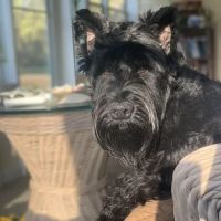 Tri-County Veterinary Clinic ico