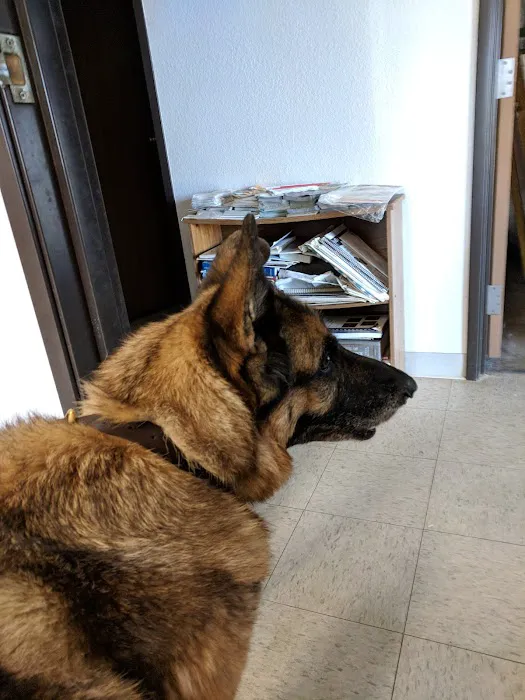 Tri-County Veterinary Clinic Picture 3