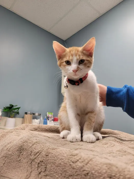 Banfield Pet Hospital Picture 1