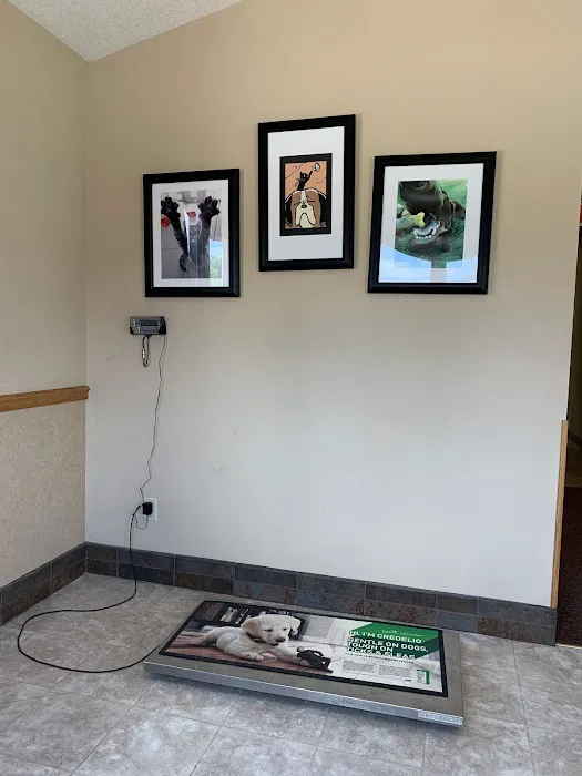 Plainview Animal Clinic Picture 7