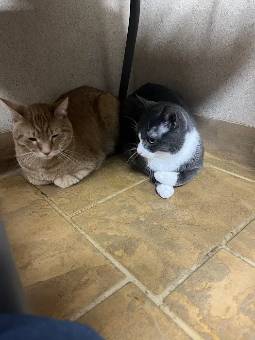 VCA Cascade Animal Medical Center & Inn Picture 10