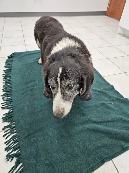 Lake Country Veterinary Services Picture 1
