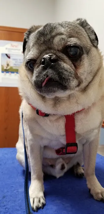Lake Country Veterinary Services Picture 5
