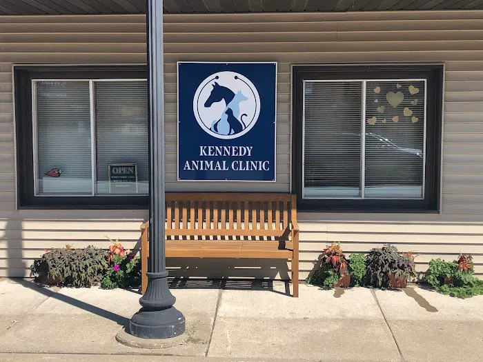 Kennedy Animal Clinic Picture 3