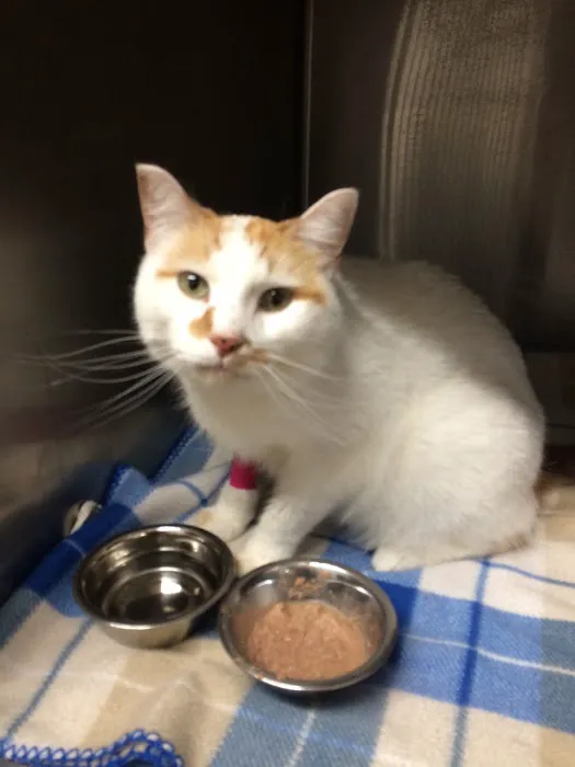 Kennedy Animal Clinic Picture 9