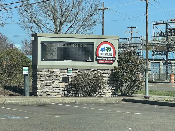 Willamette Veterinary Hospital Picture 4