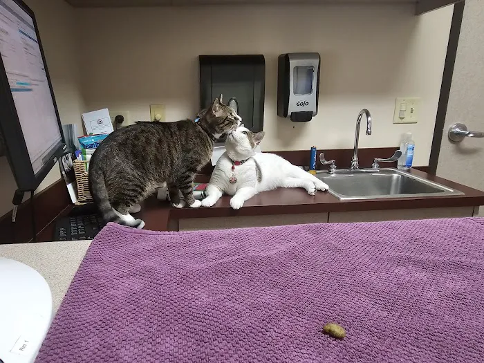 Willamette Veterinary Hospital Picture 5