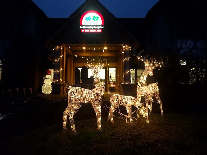 Willamette Veterinary Hospital Picture 9