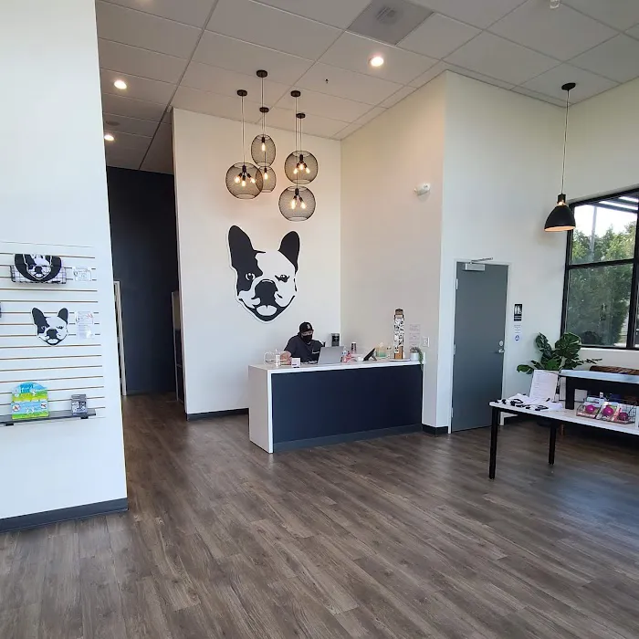 Hello Vet Pet Wellness Center Picture 3