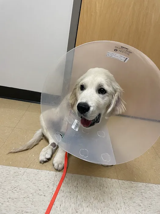 Lois Bates Acheson Veterinary Hospital: Large Animal Services Picture 1