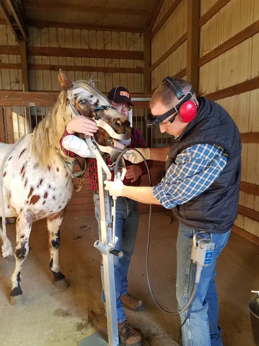 All Creatures Great and Small Veterinary Clinic Picture 5