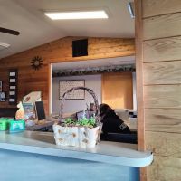 Alpine Animal Hospital ico