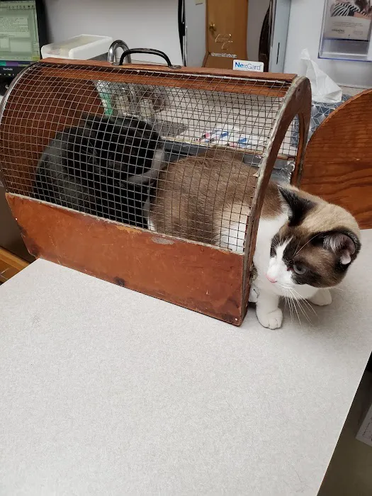 Alpine Animal Hospital Picture 2