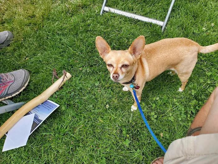 Alpine Animal Hospital Picture 8