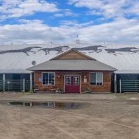 Del Oeste Equine Hospital LLC - Amber Lengele, DVM ico